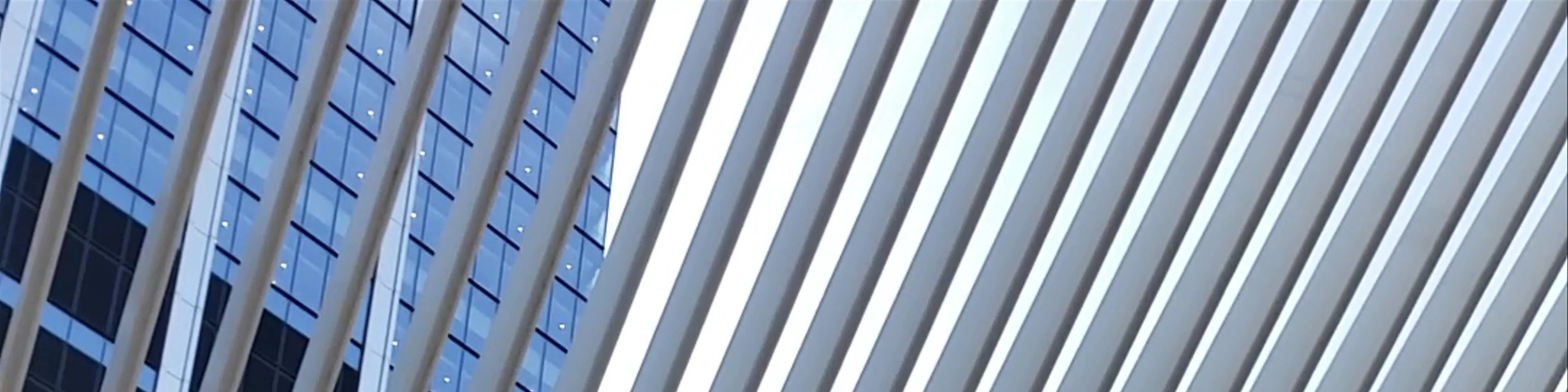 The Oculus