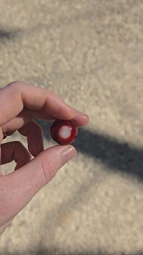 Preview pic of Red and White Marble