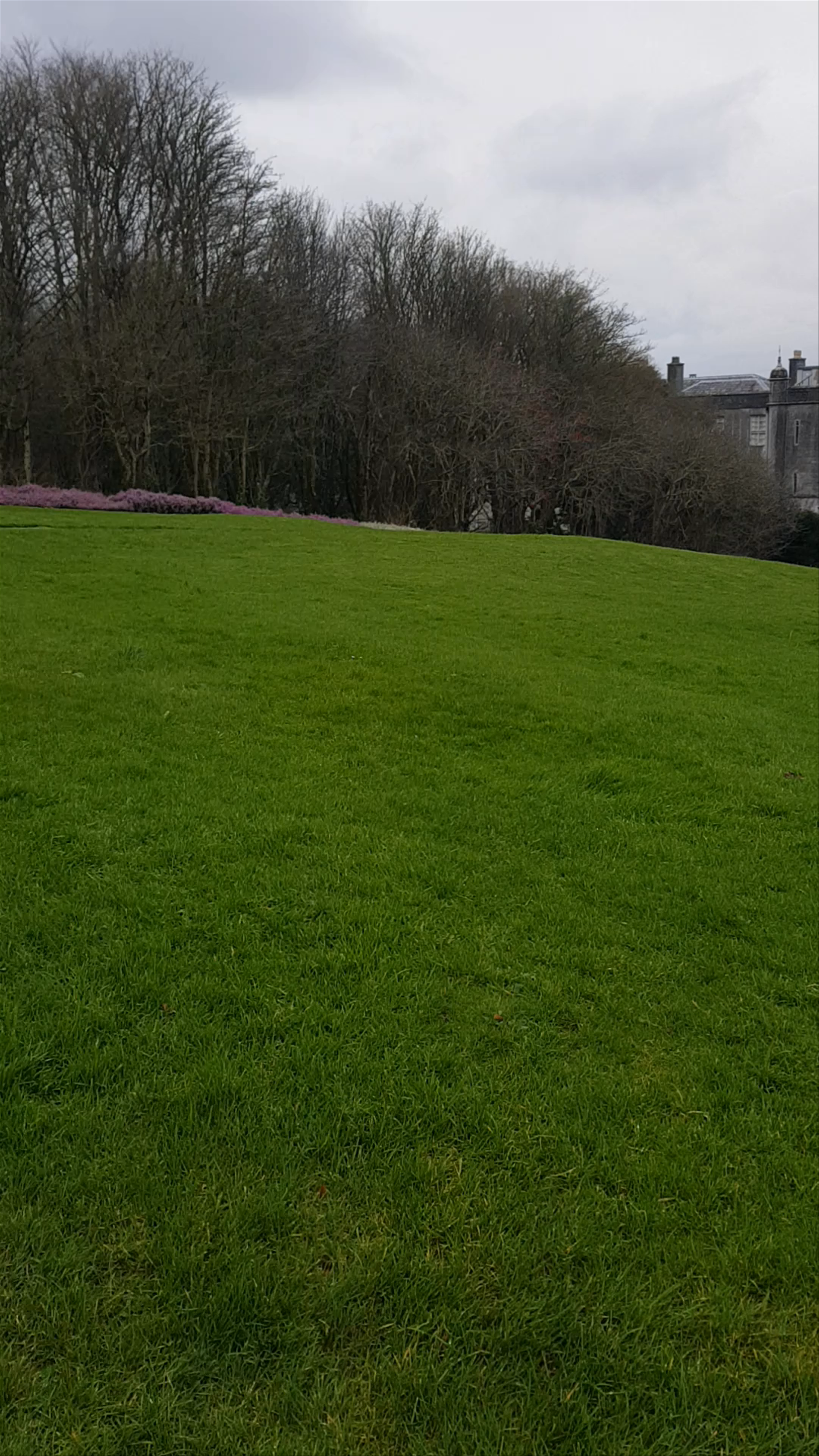 National Trust - Plas Newydd House & Gardens