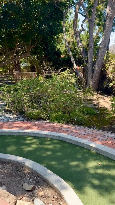 Golf Gardens - June 26, 2025 | Thursday | Along the course! | Scenery! - Mini Golf Near Me - Avalon, California