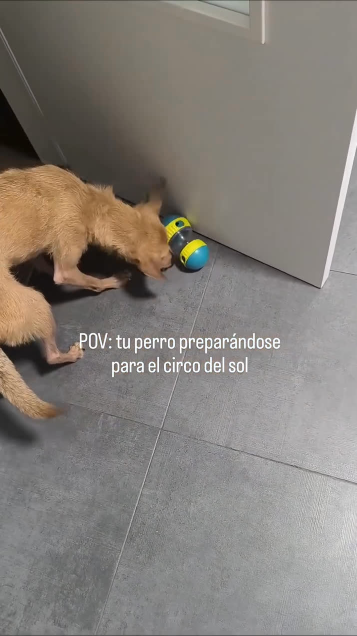 Vídeo UGC 4 de Mireia