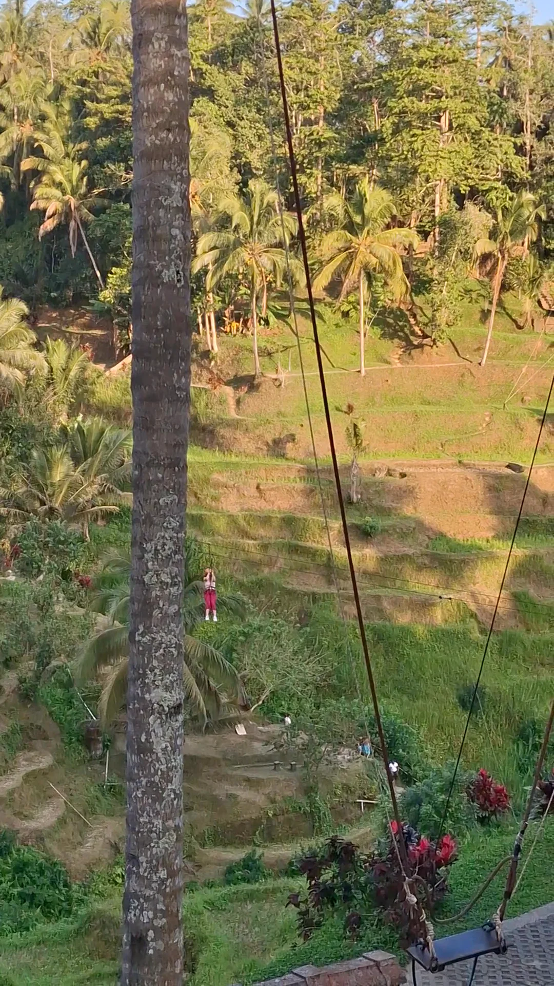 Video 16 · Linda · Bali 360°: Ubud, arrozales de Jatiluwih y templos de la isla de los dioses