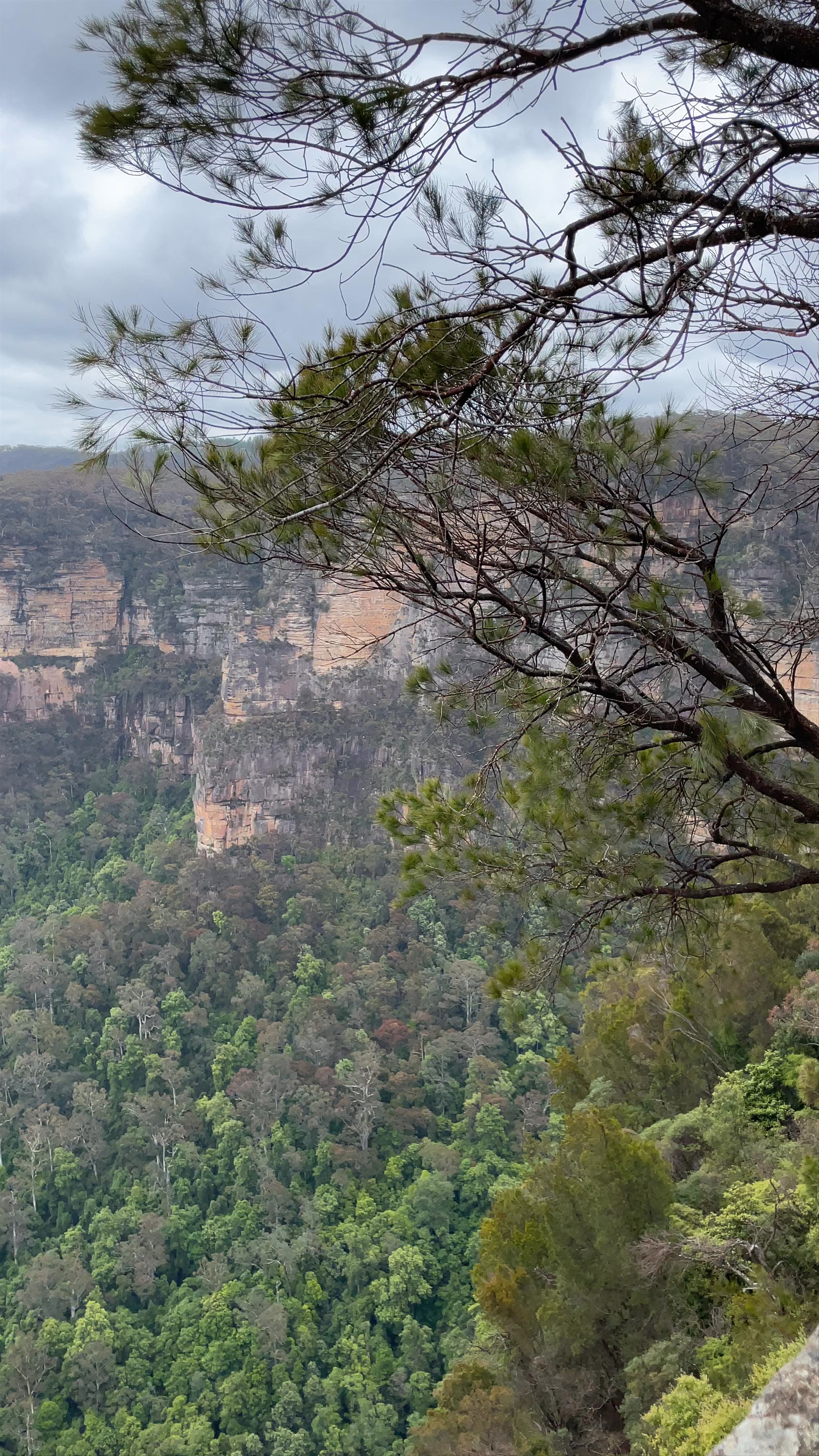 Lyrebird Falls - Melbourne Wedding Venue