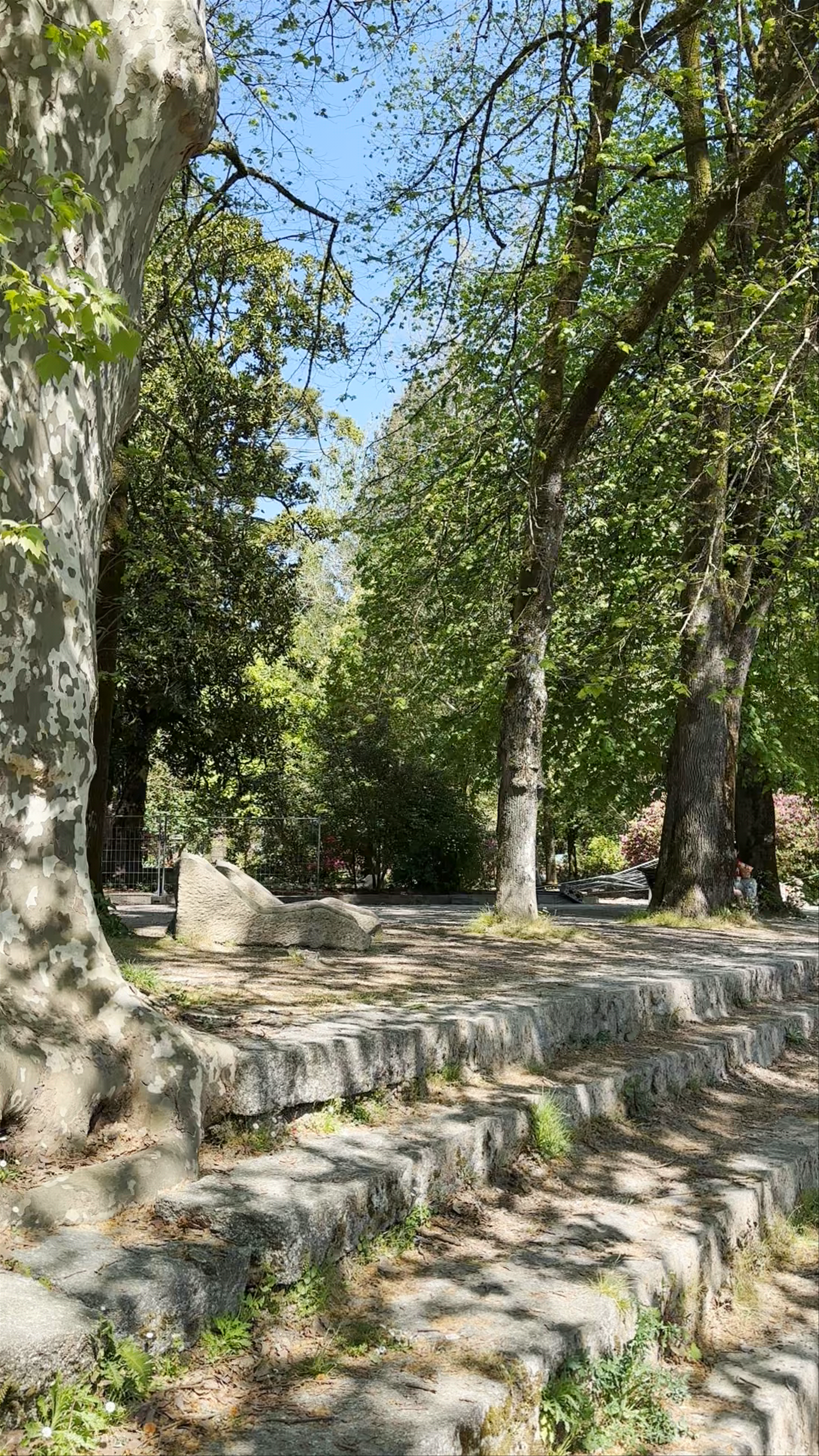 Fuente del Jardín Botánico