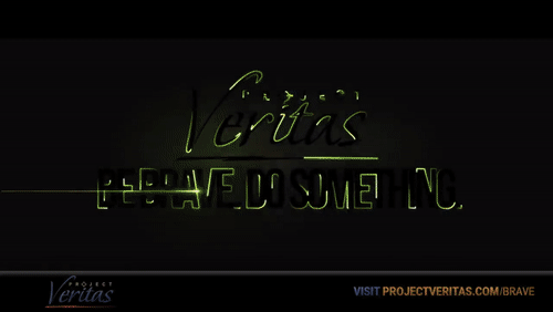 Video Thumbnail Loop