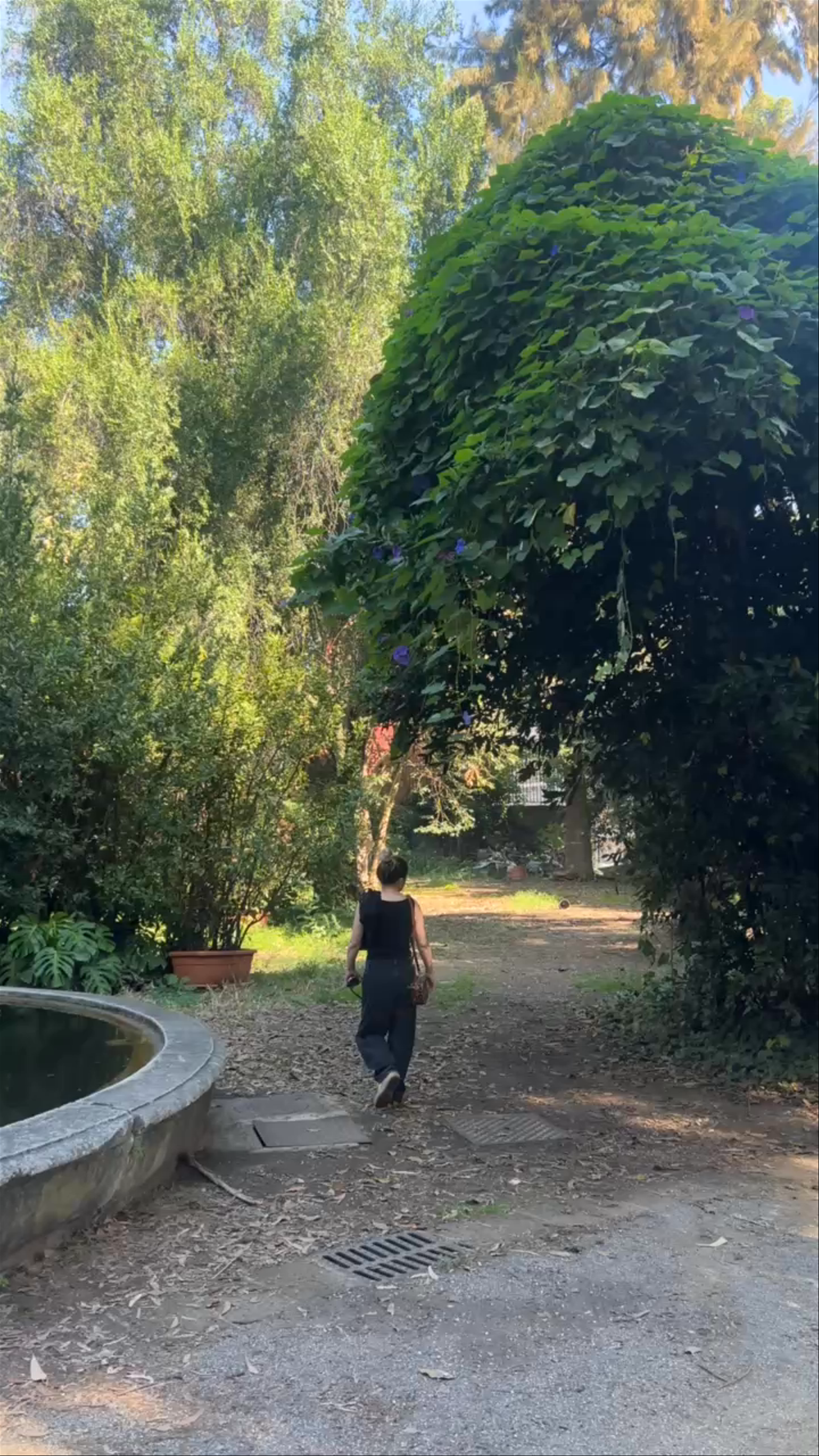 Serene Stroll Through Orto Botanico di Napoli