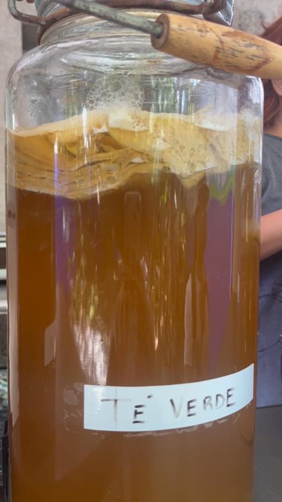 Monique's Bakery - Kombucha in the making - Vegetarian Near Me - Mérida, YUC