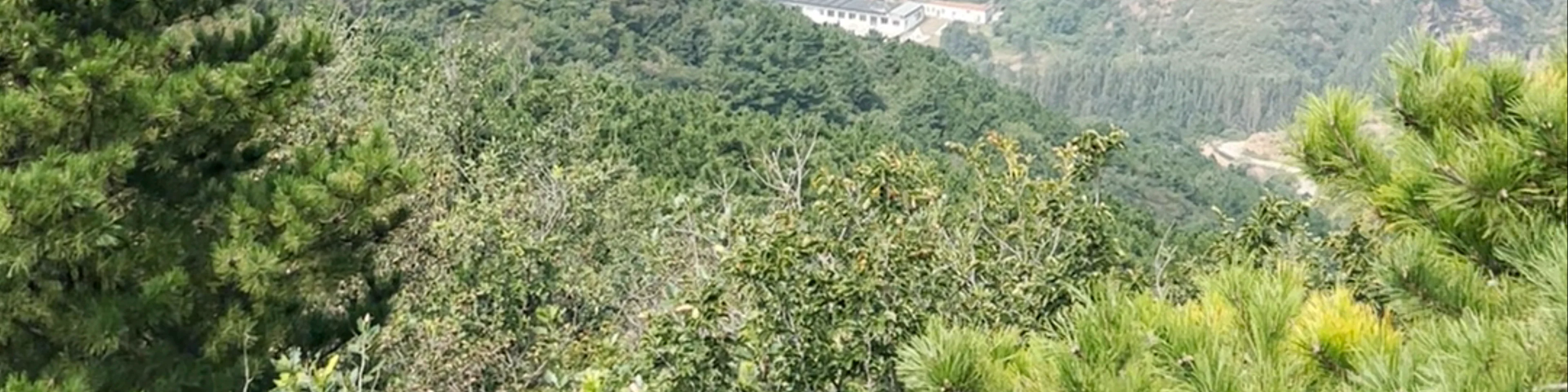 Great Wall of China