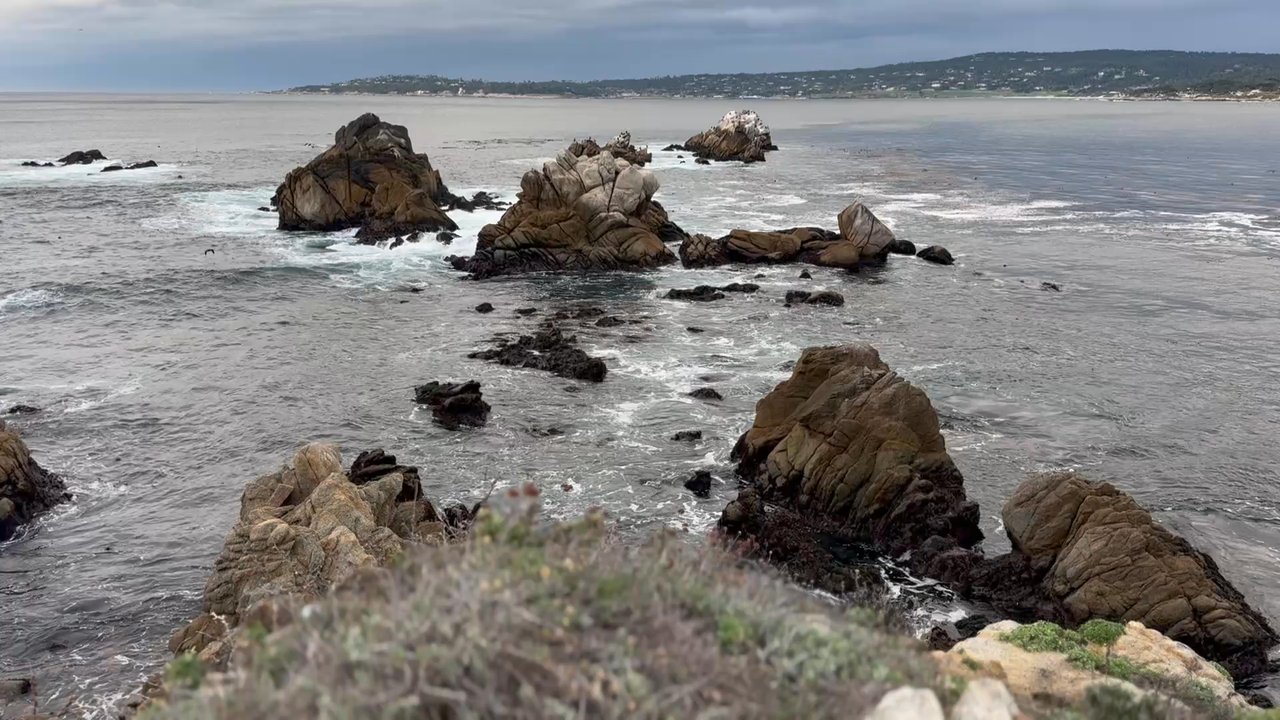 Aquarius Dive Shop - Cliff view of Point Lobos - Dive Shops Near Me - Monterey, California