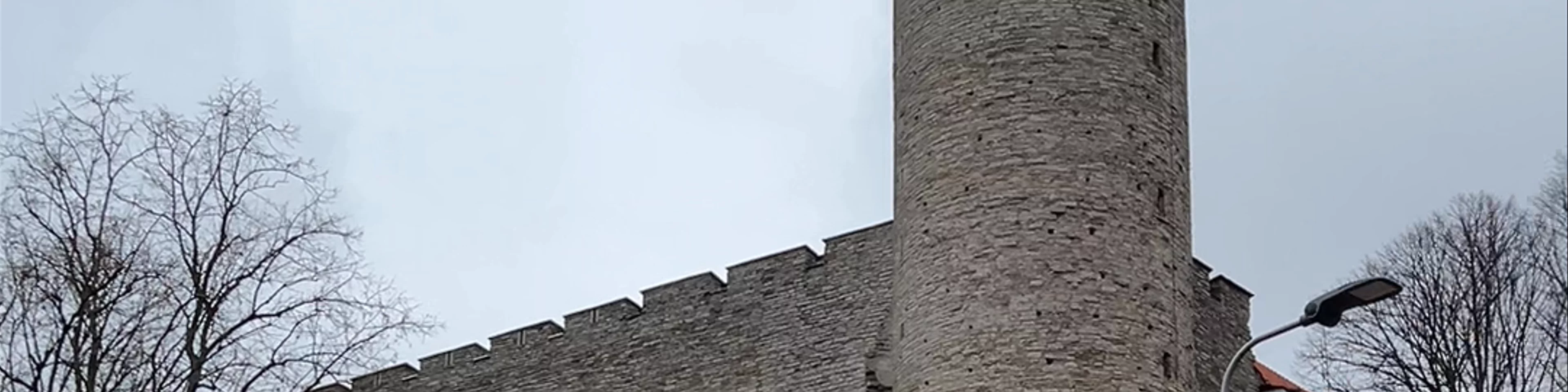 Toompea Castle