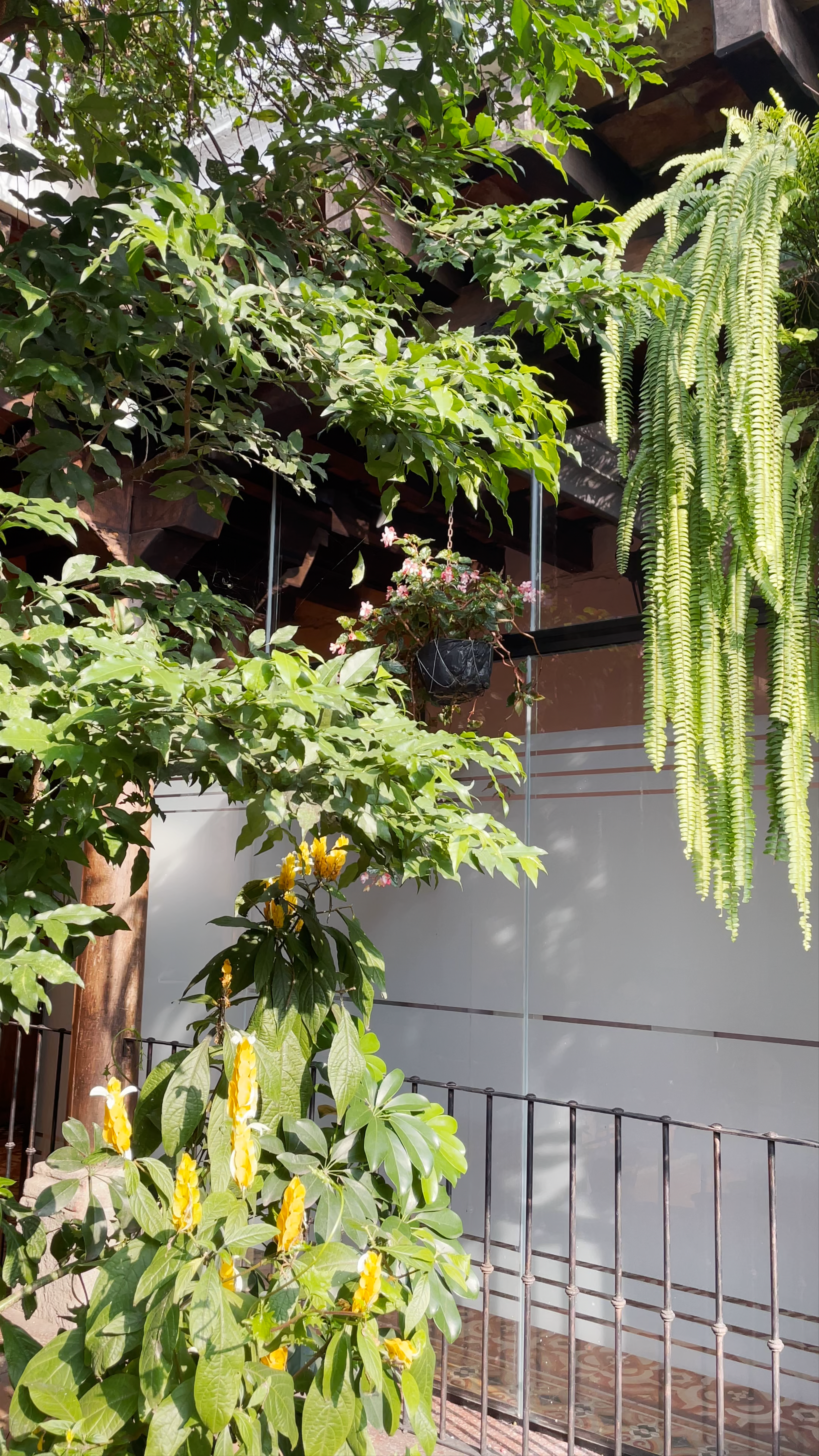 4a Avenida Norte, Antigua Guatemala