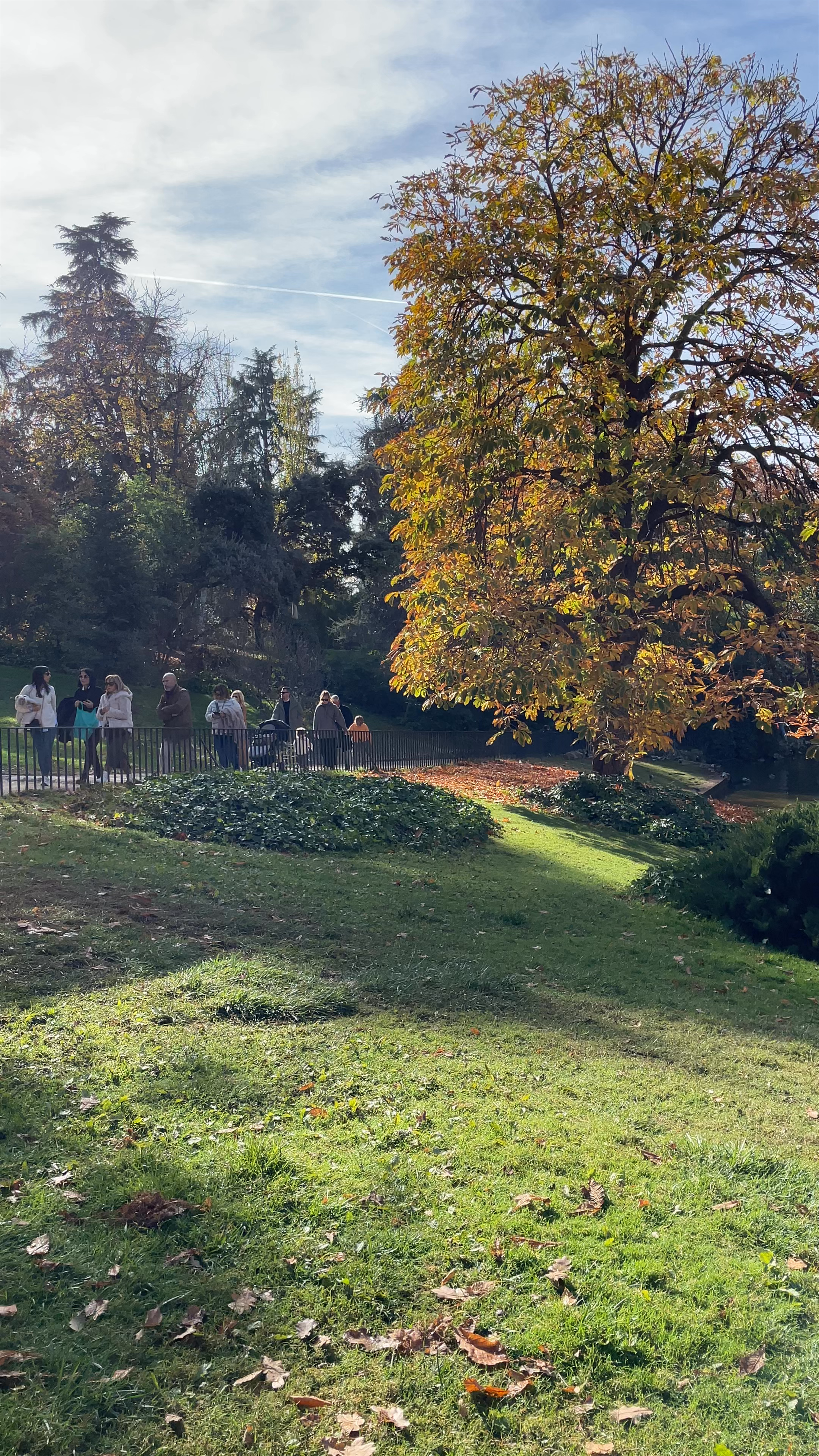 El Retiro