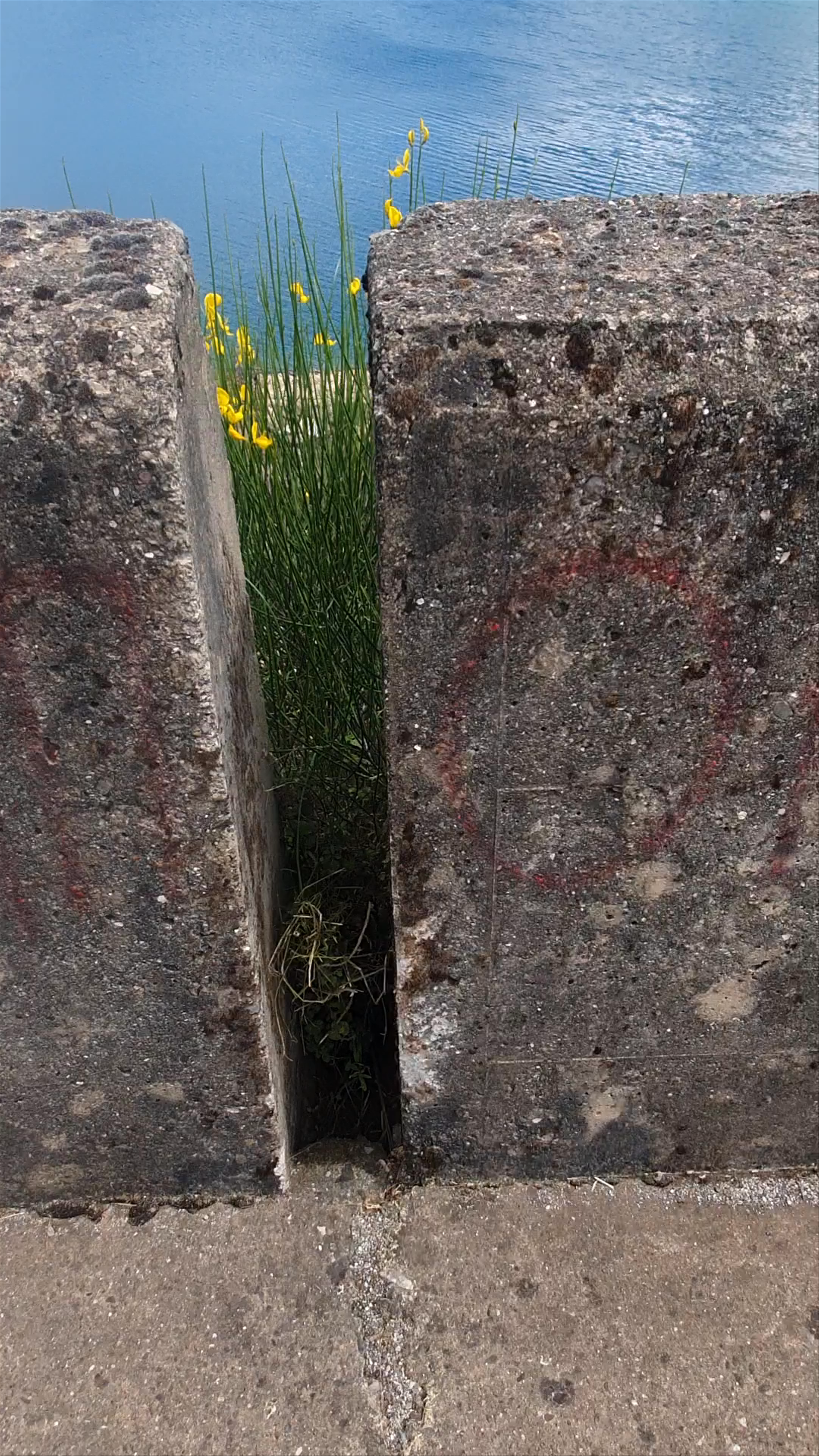 Φράγμα Τεχνητής Λίμνης Ευήνου