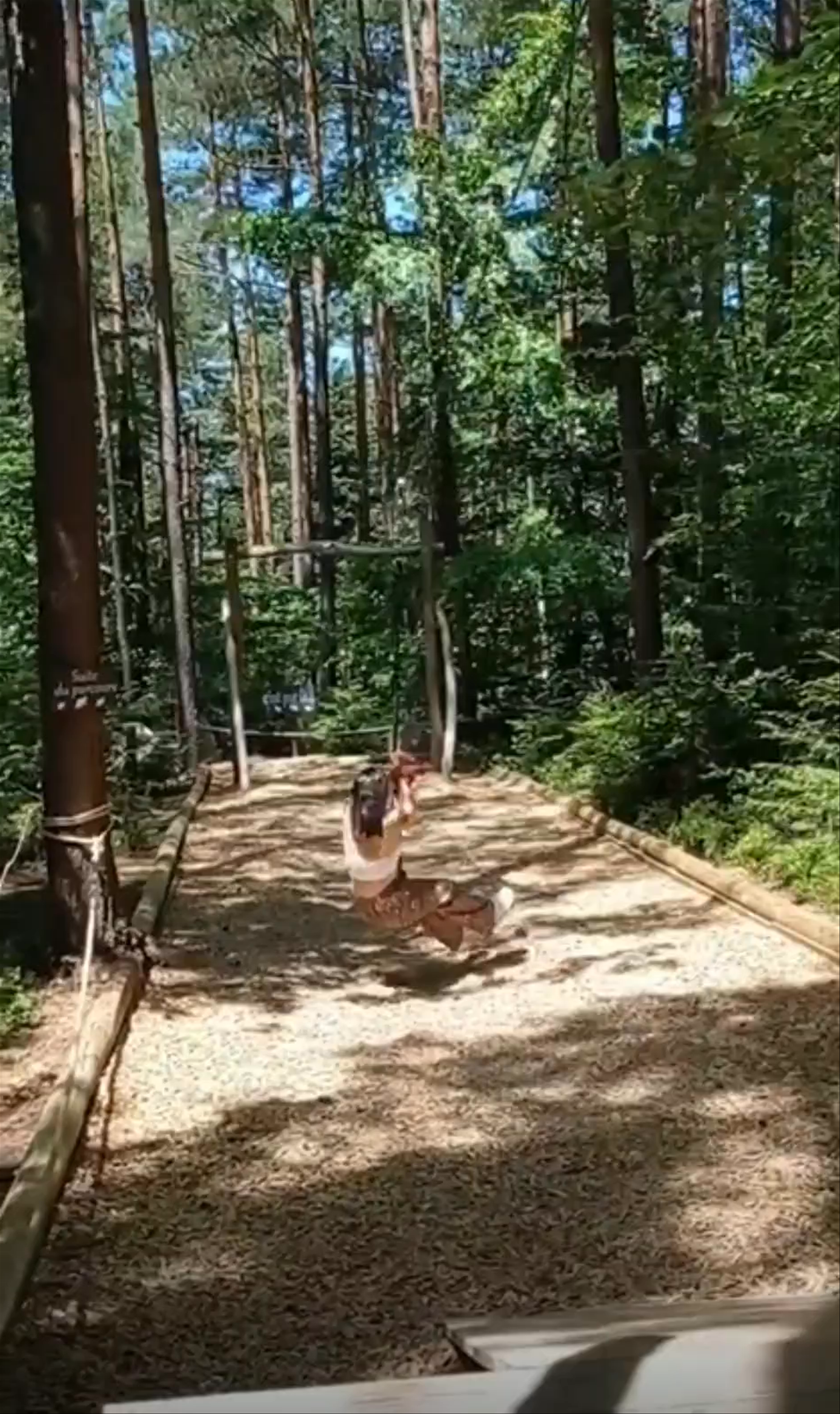 La Montagne des Singes