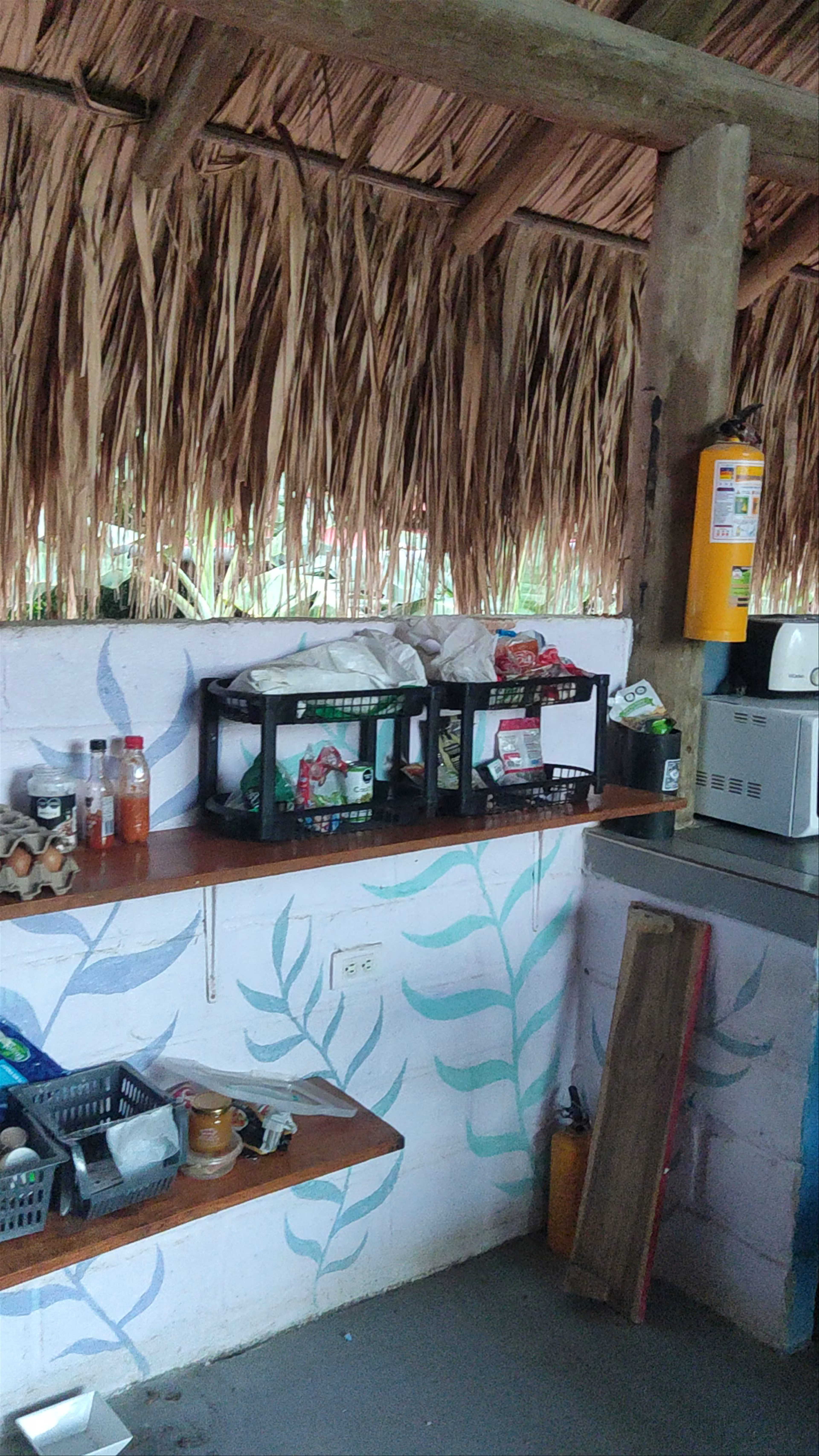 El Zoo Hostel & Pool