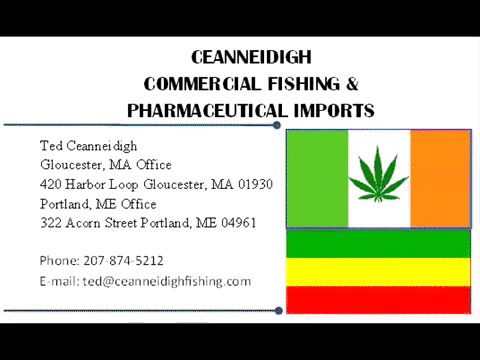 Video Thumbnail Loop