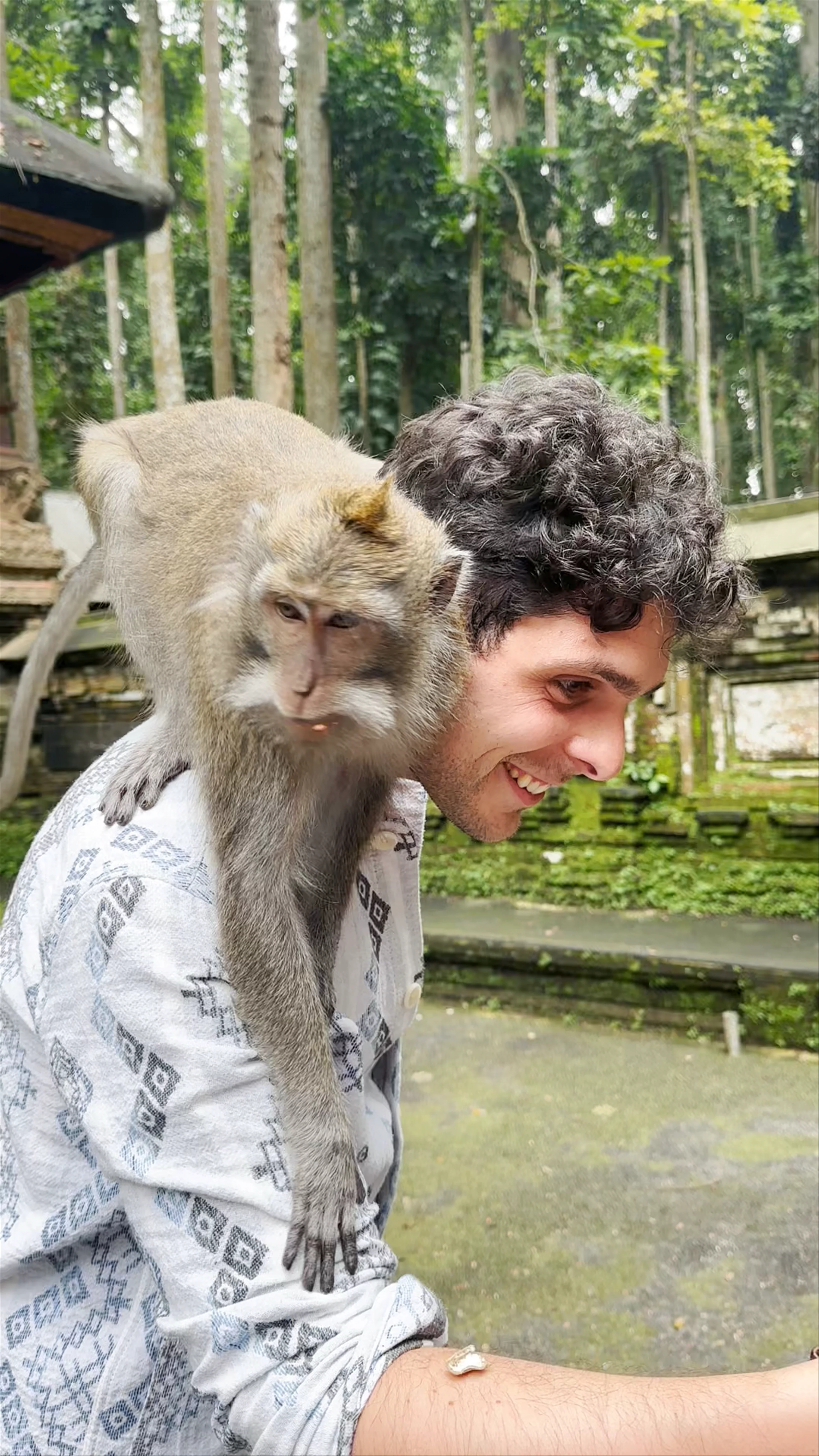 Sangeh Monkey Forest