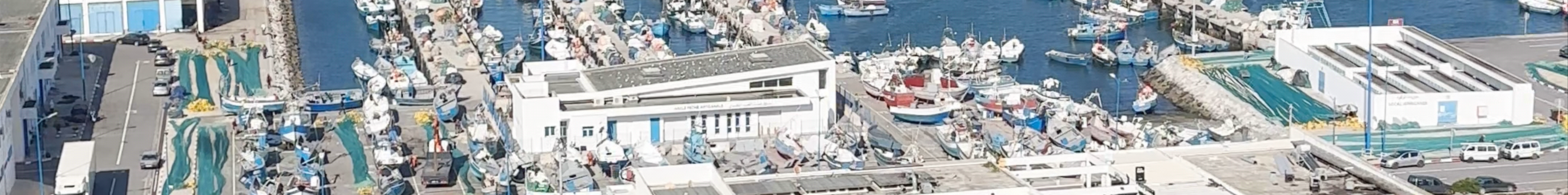 Tours & experiences in Tangier
