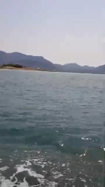 Dalyan