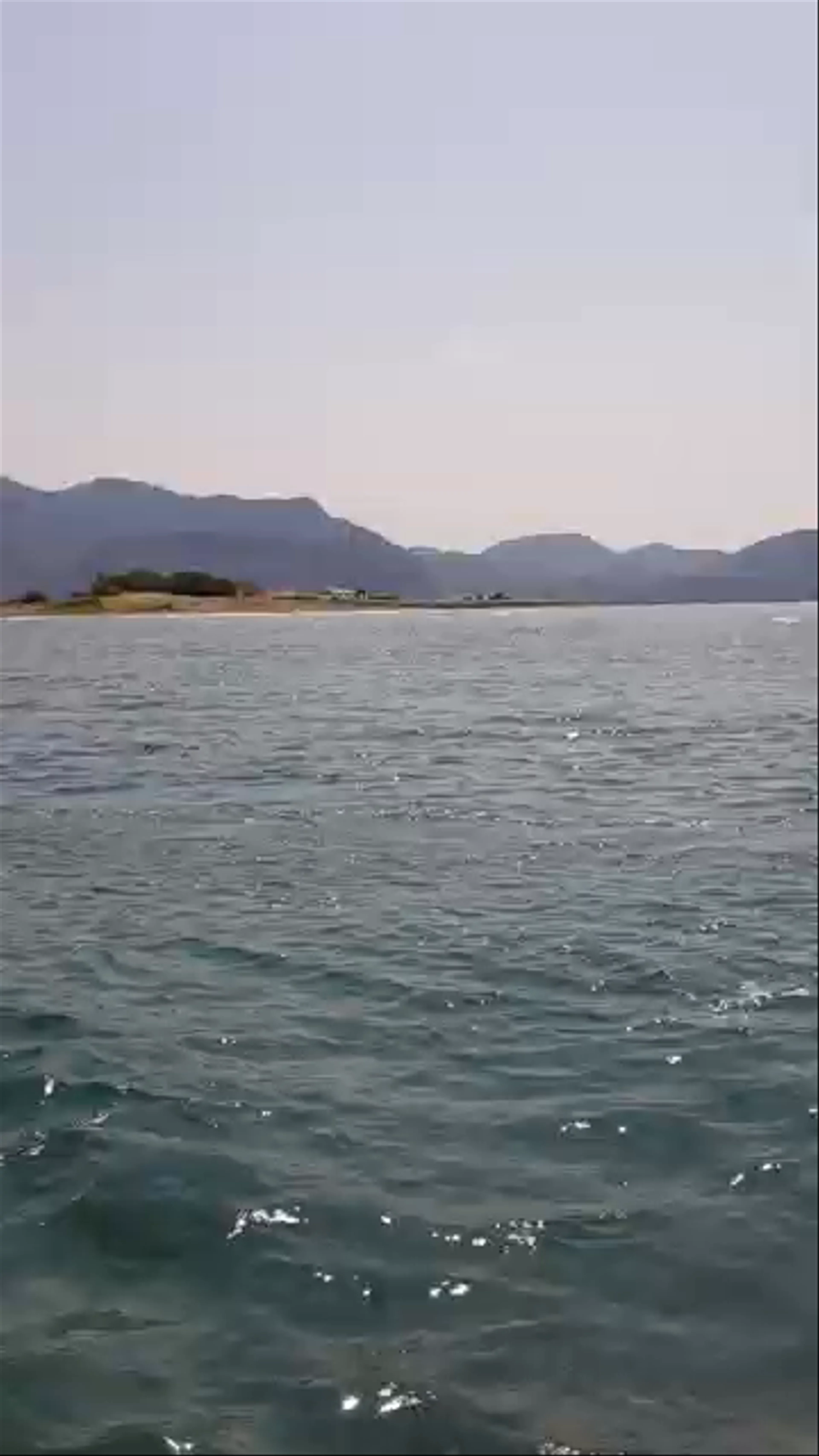 Turtle Beach