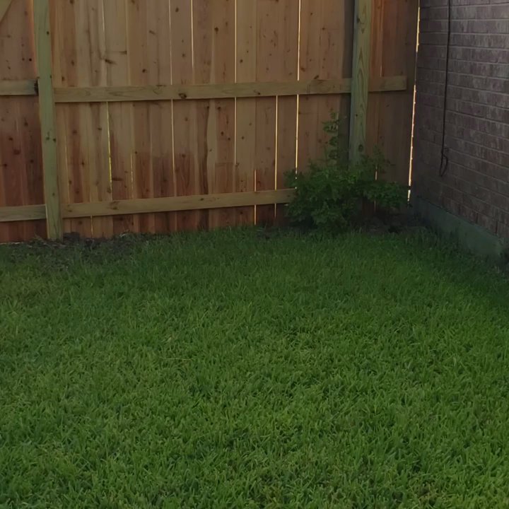 Baileys Fence - Fences & Gates Near Me - Donna, Texas