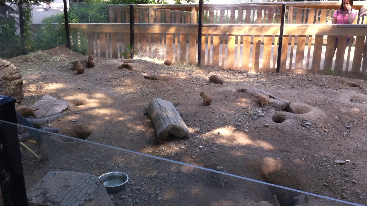 Video thumbnail 3 more videos