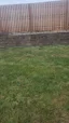 Small image 7