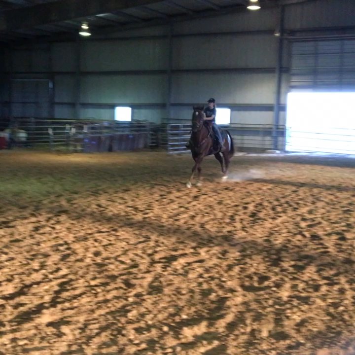 Coombs Stable - Just playing at the stable. - Horse Boarding Near Me - Hutto, Texas