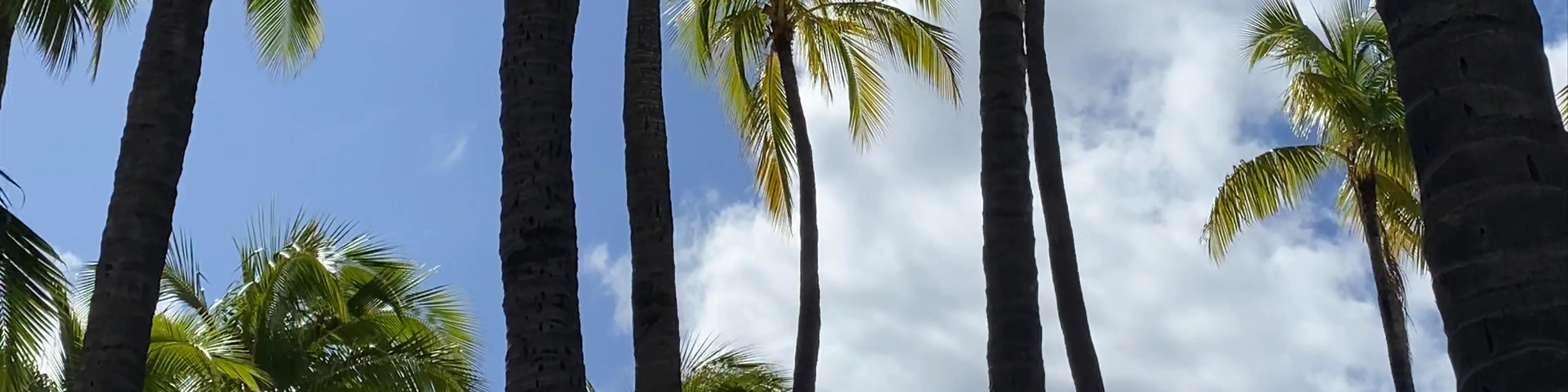 Kuhio Beach Park