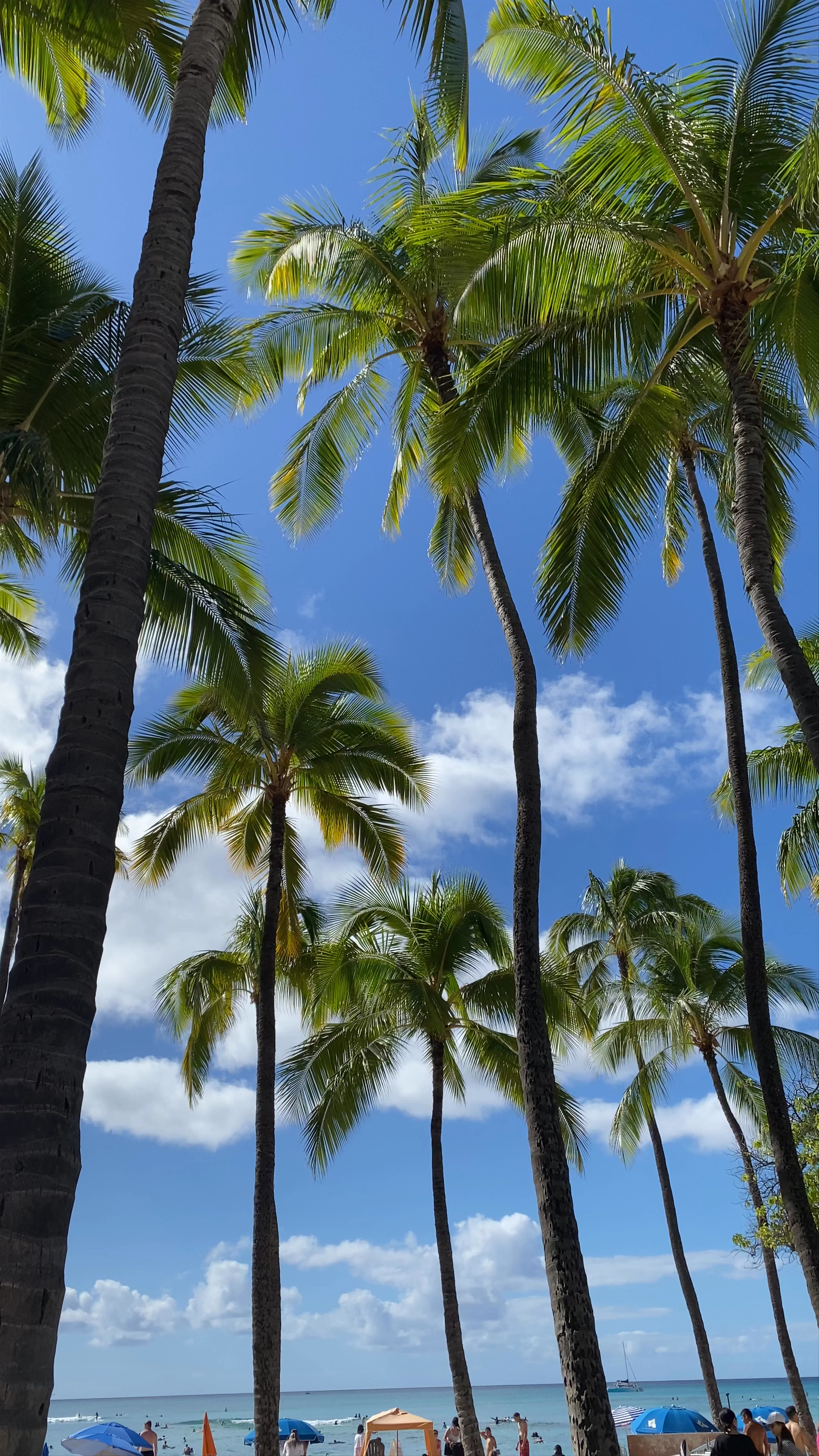Kuhio Beach Park, Honolulu, HI, USA