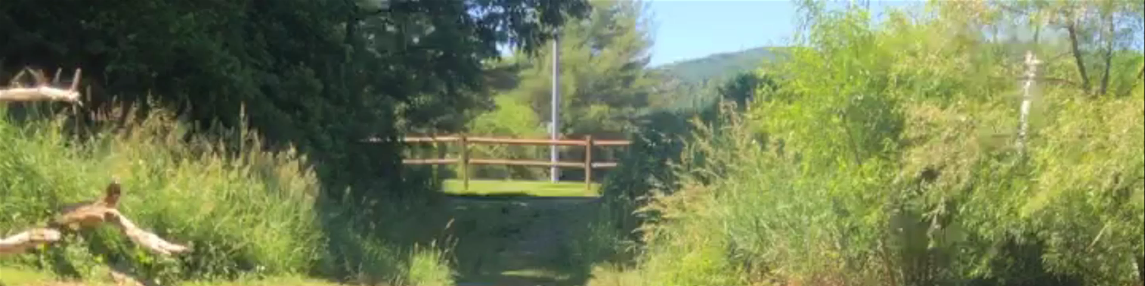 South Fork New River