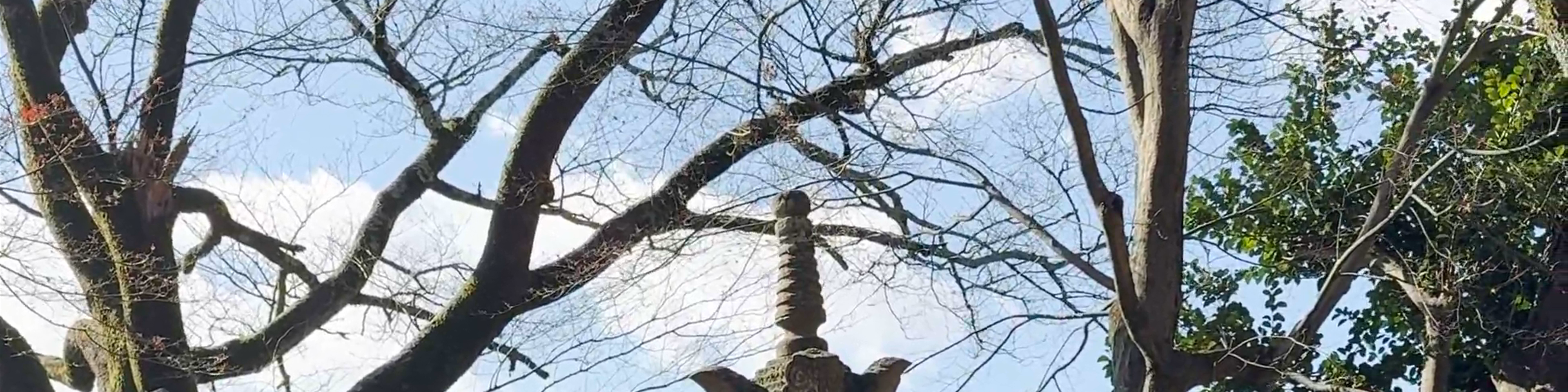Kyoto