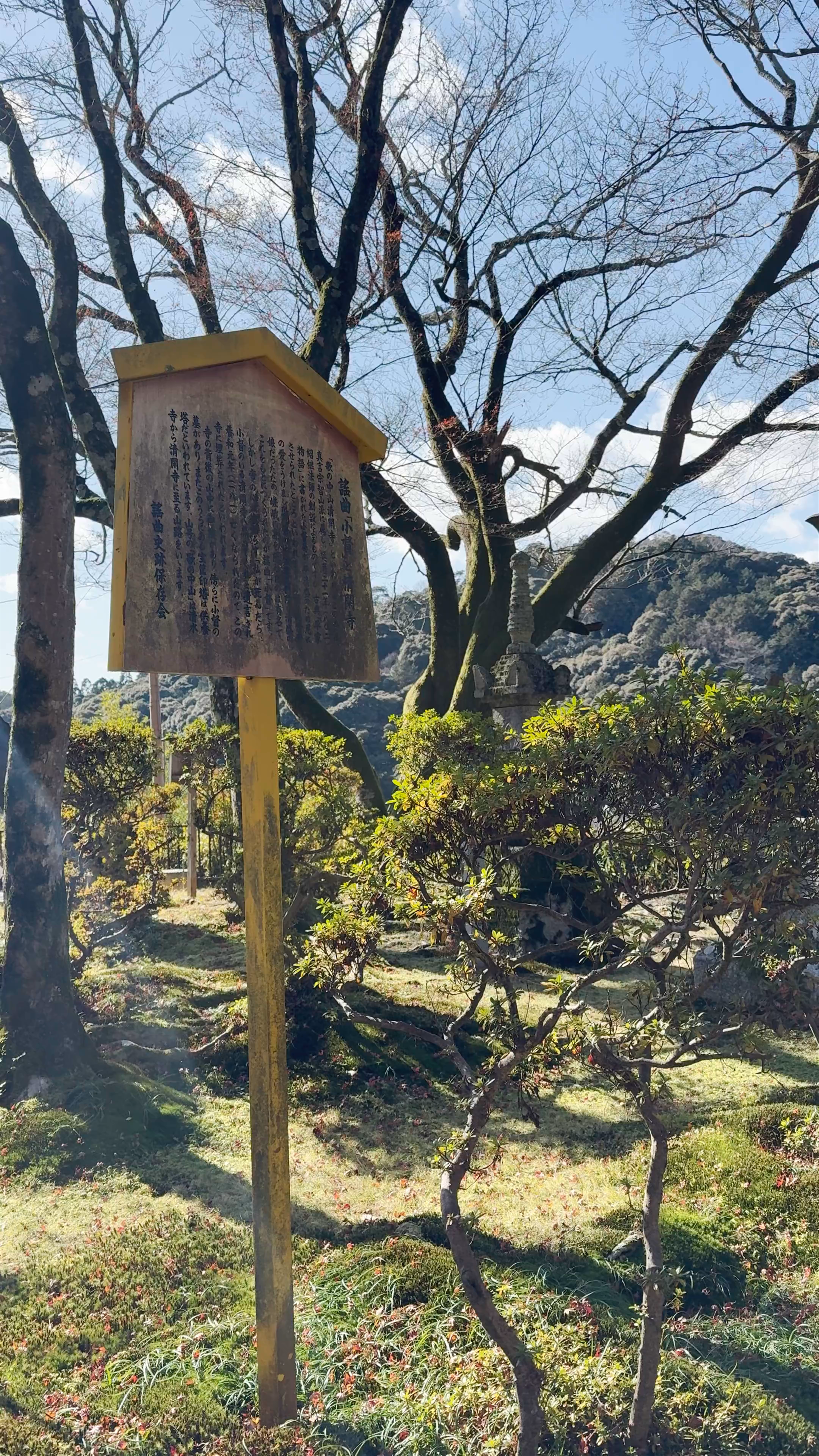 Seikan-ji Temple: Serene Winter Walk in Kyoto’s Higashiyama Ward