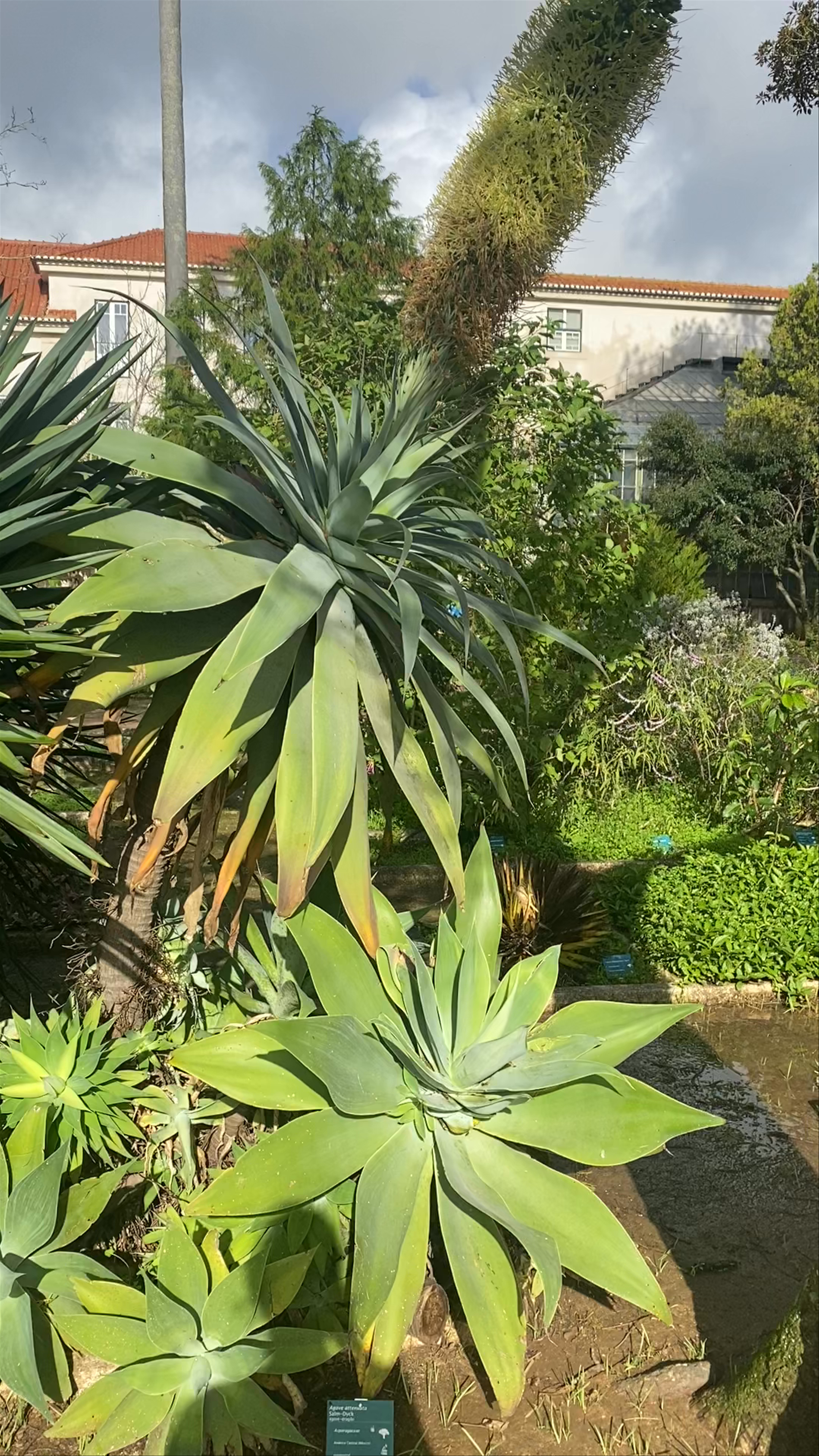 Jardim Botânico d'Ajuda