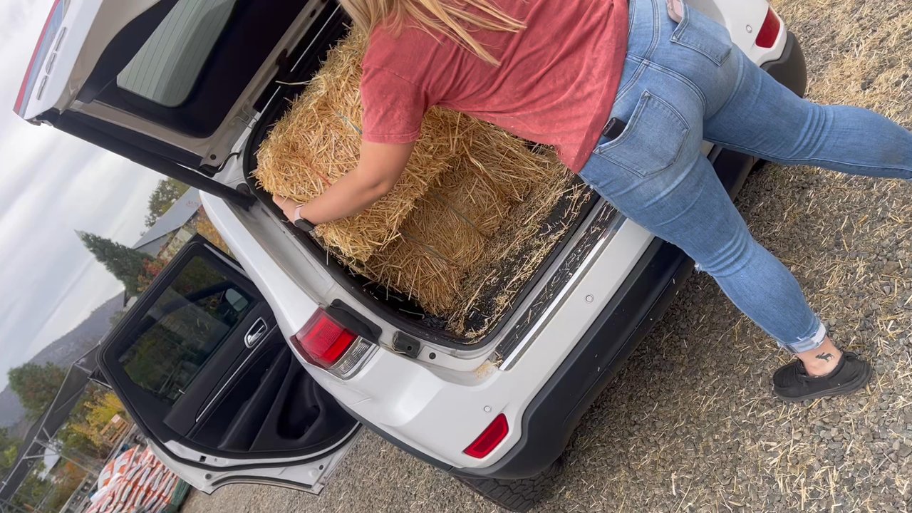 Scott Valley Feed - Load it up   Thank you Hannah - Nurseries & Gardening Near Me - Yreka, California