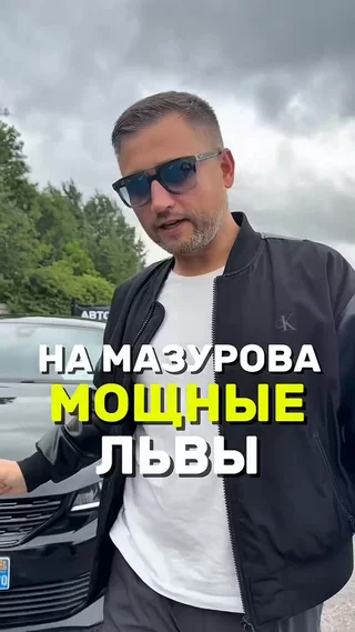 На Мазурова мощные львы