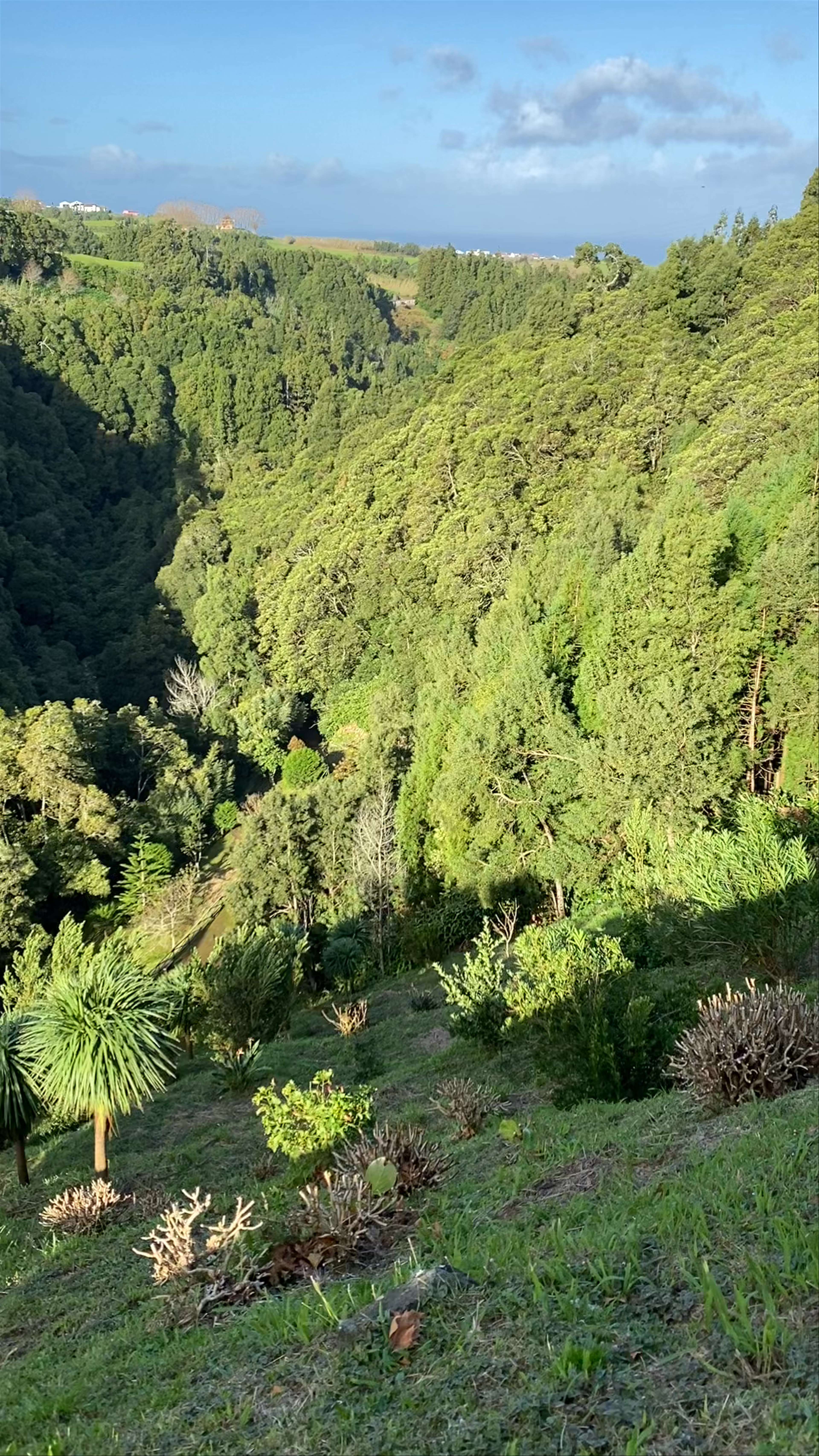 Miradouro da Ribeira dos Caldeirões