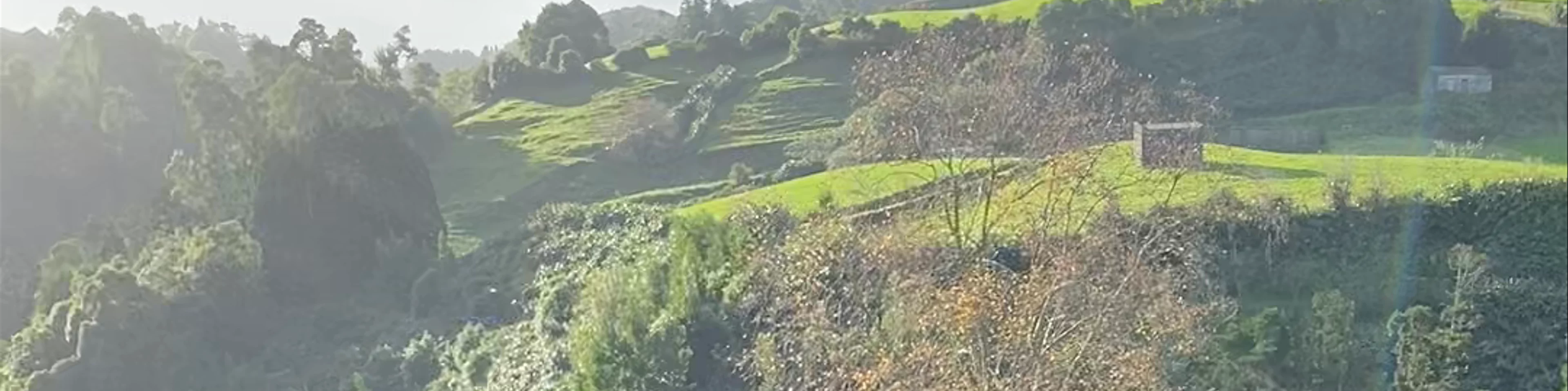 Miradouro da Ribeira dos Caldeirões