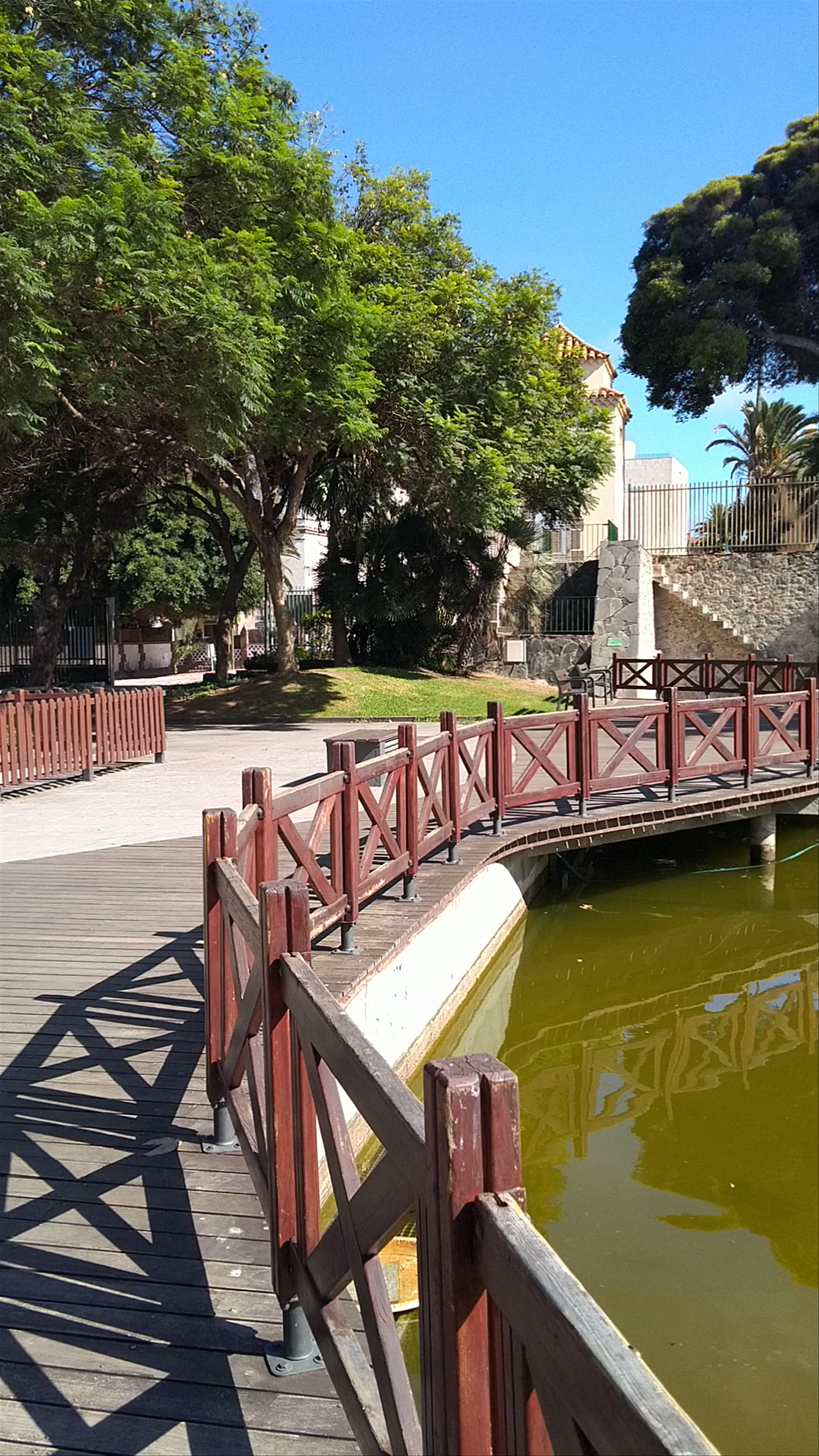 Serene Stroll Through Parque Doramas in Las Palmas de Gran Canaria