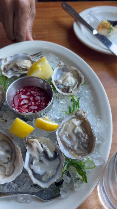 Truth Be Told - Oysters - Pubs Near Me - Chicago, Illinois