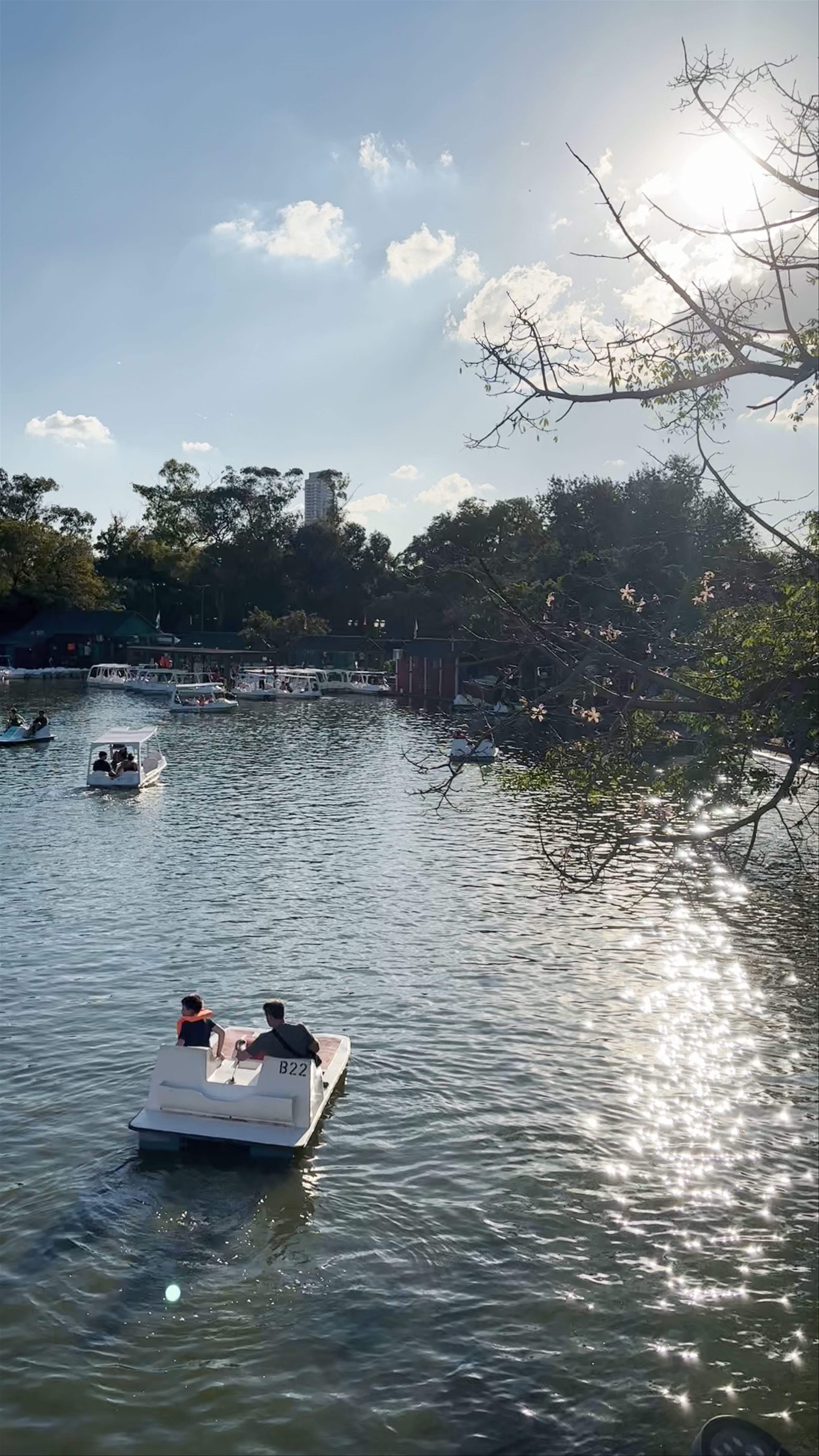 Parque El Rosedal