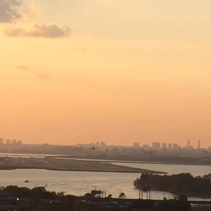 A+ Roof Bar - Lounges Near Me - Flushing, New York