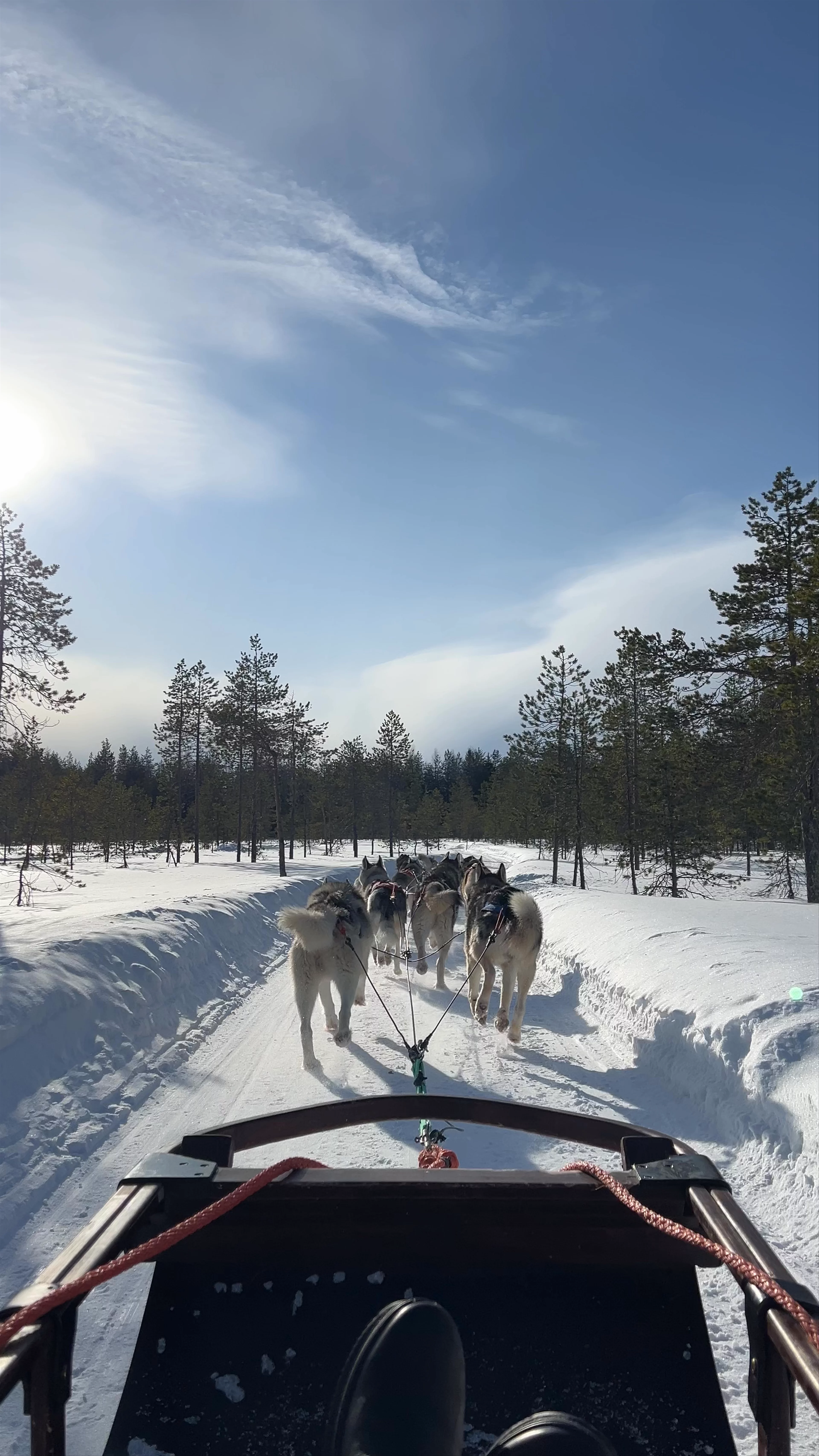 Santa's Husky Rides, Joulumaantie, Rovaniemi, Finland