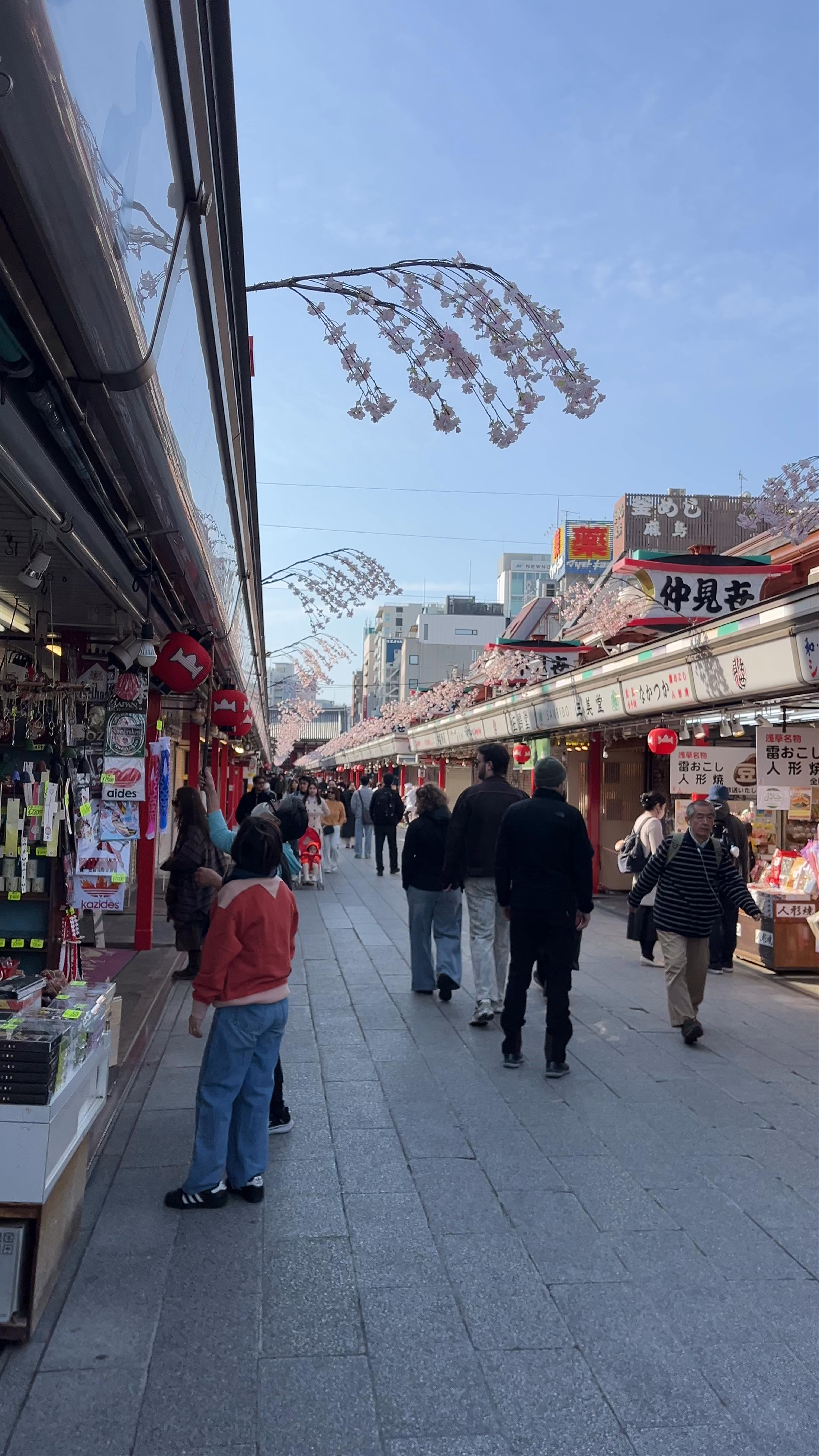 Nakamise Shopping Street