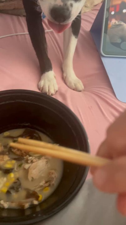 Susuru Ramen - We even had leftovers and this little girl had to try some too. - Ramen Near Me - Tarrytown, New York