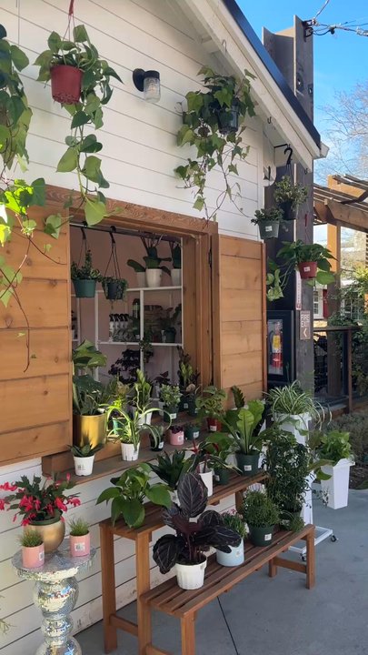 Rooted In Love - Nurseries & Gardening Near Me - Riverside, California