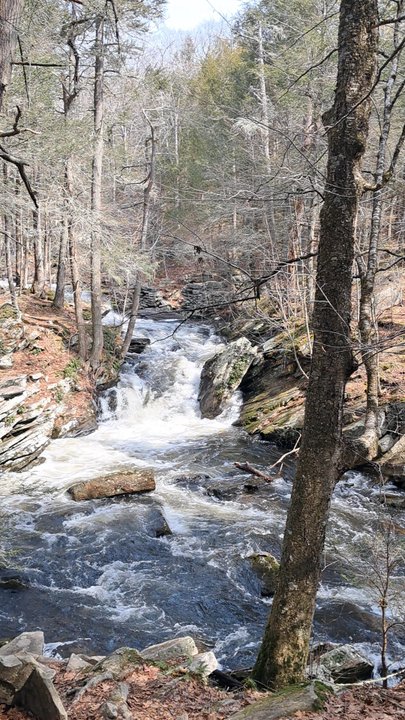 Saugatuck Falls Natural Area - The waterfall - Parks Near Me - Redding, Connecticut