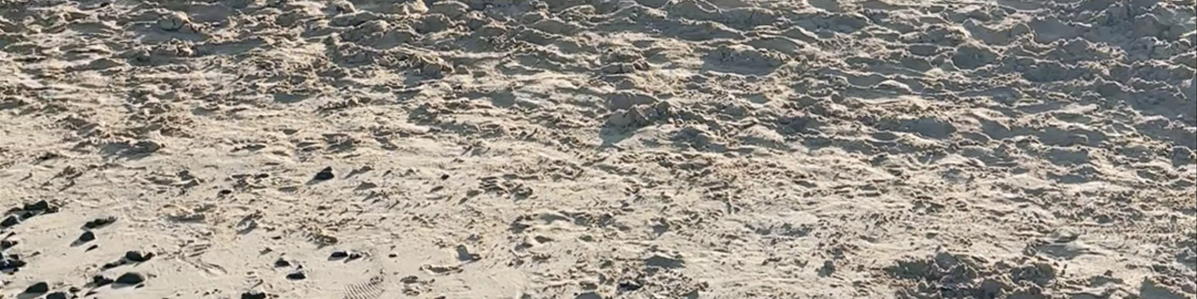 Playa la Clavellina