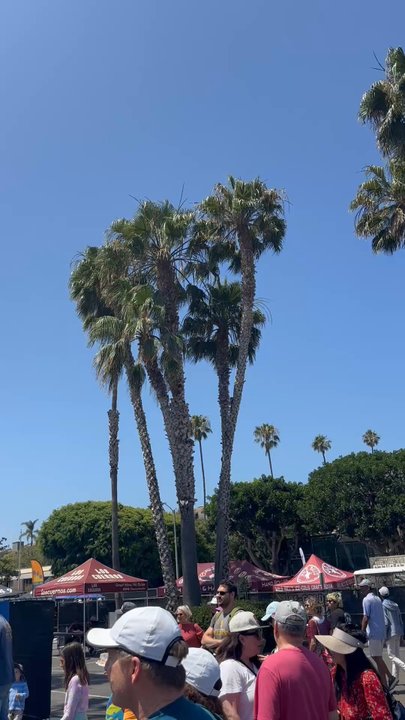 Fletcher Cove Park - Parks Near Me - Solana Beach, California