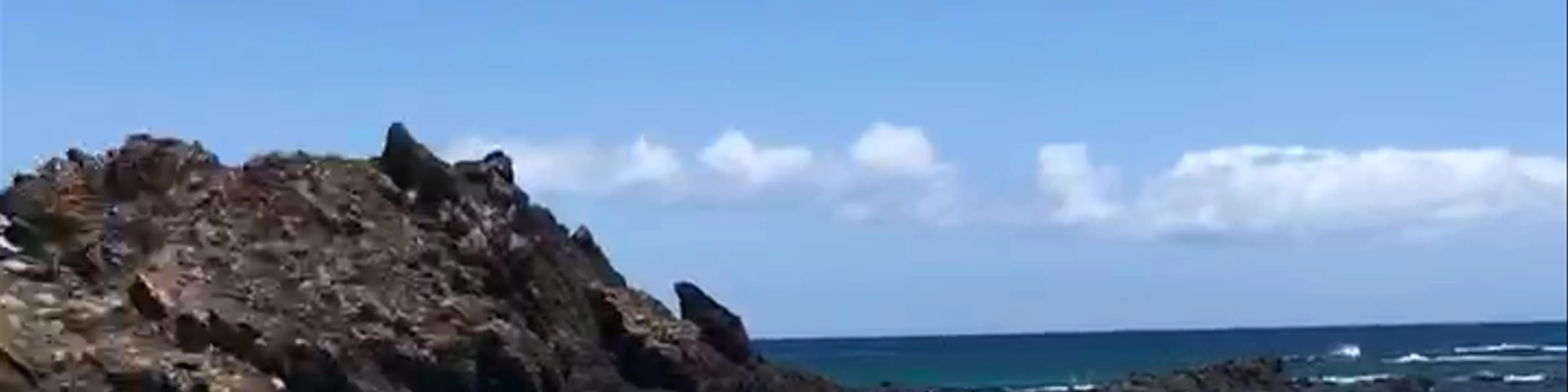 Isla de Lobos
